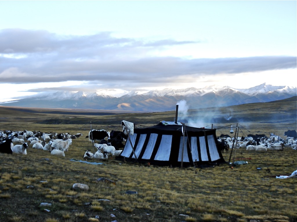 Nomads in Amdo