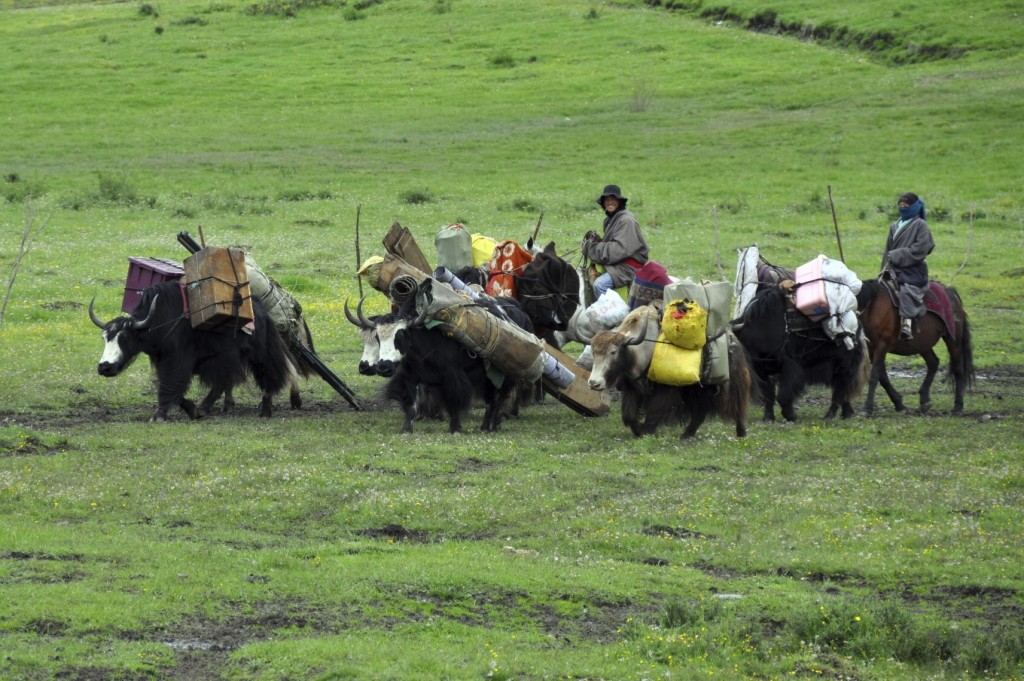 Nomad life in Tibet