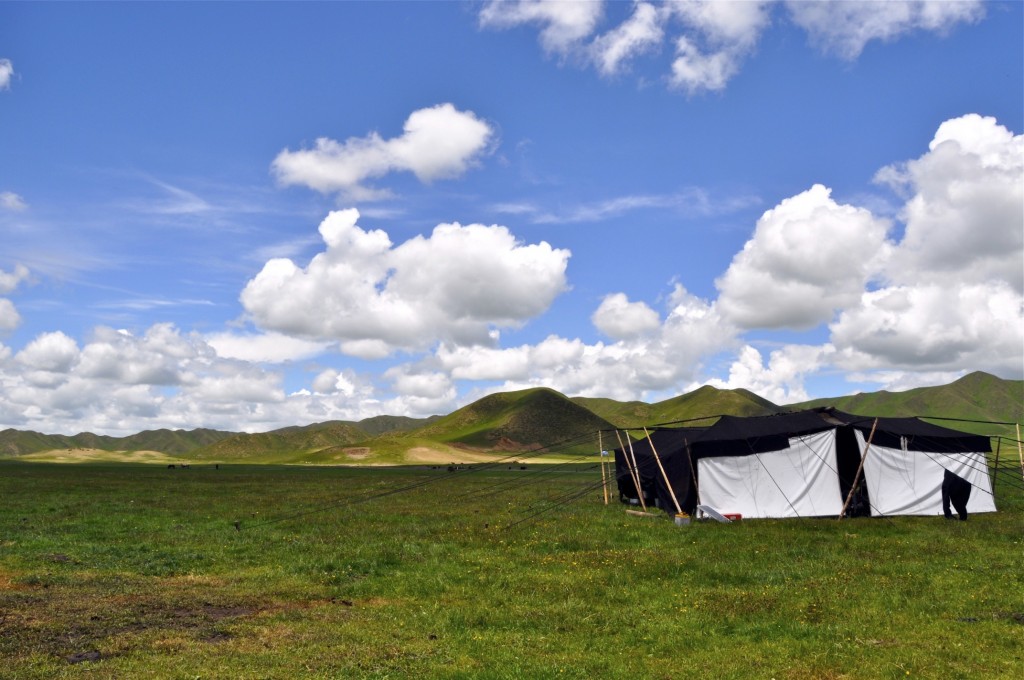 Nomad Life in Tibet