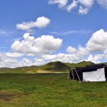 Amdo grasslands