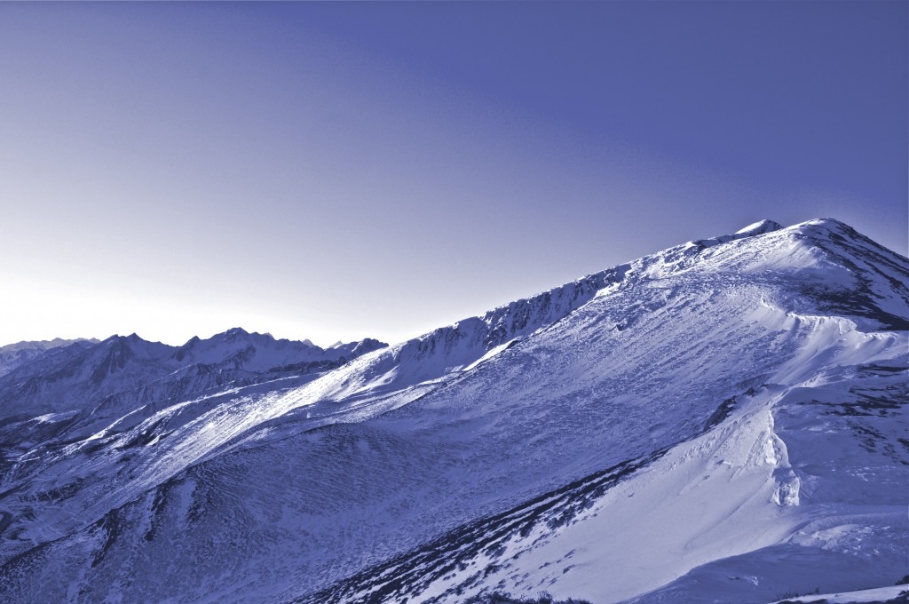 CSC_0686