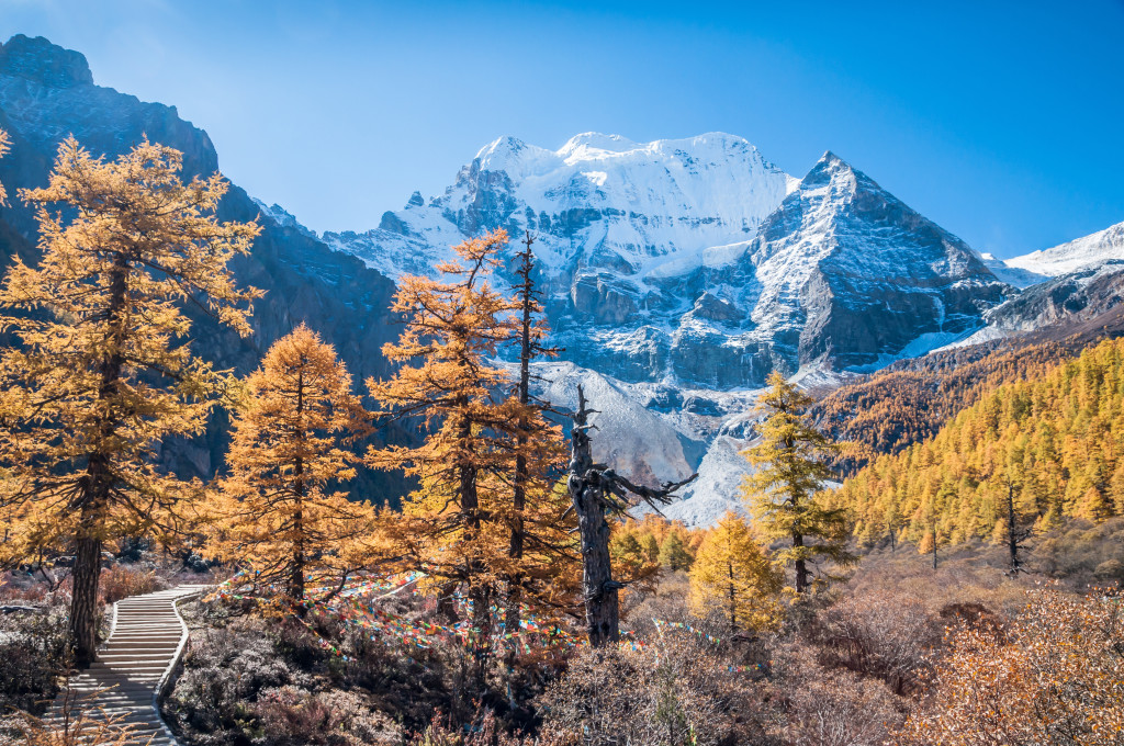 Getting to Tibet