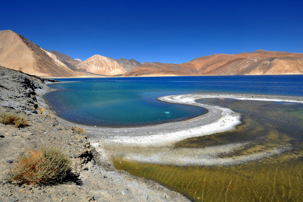Image result for Pangong Tso Lake, Ladakh