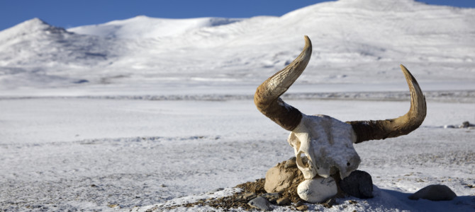 Best time to visit Tibet