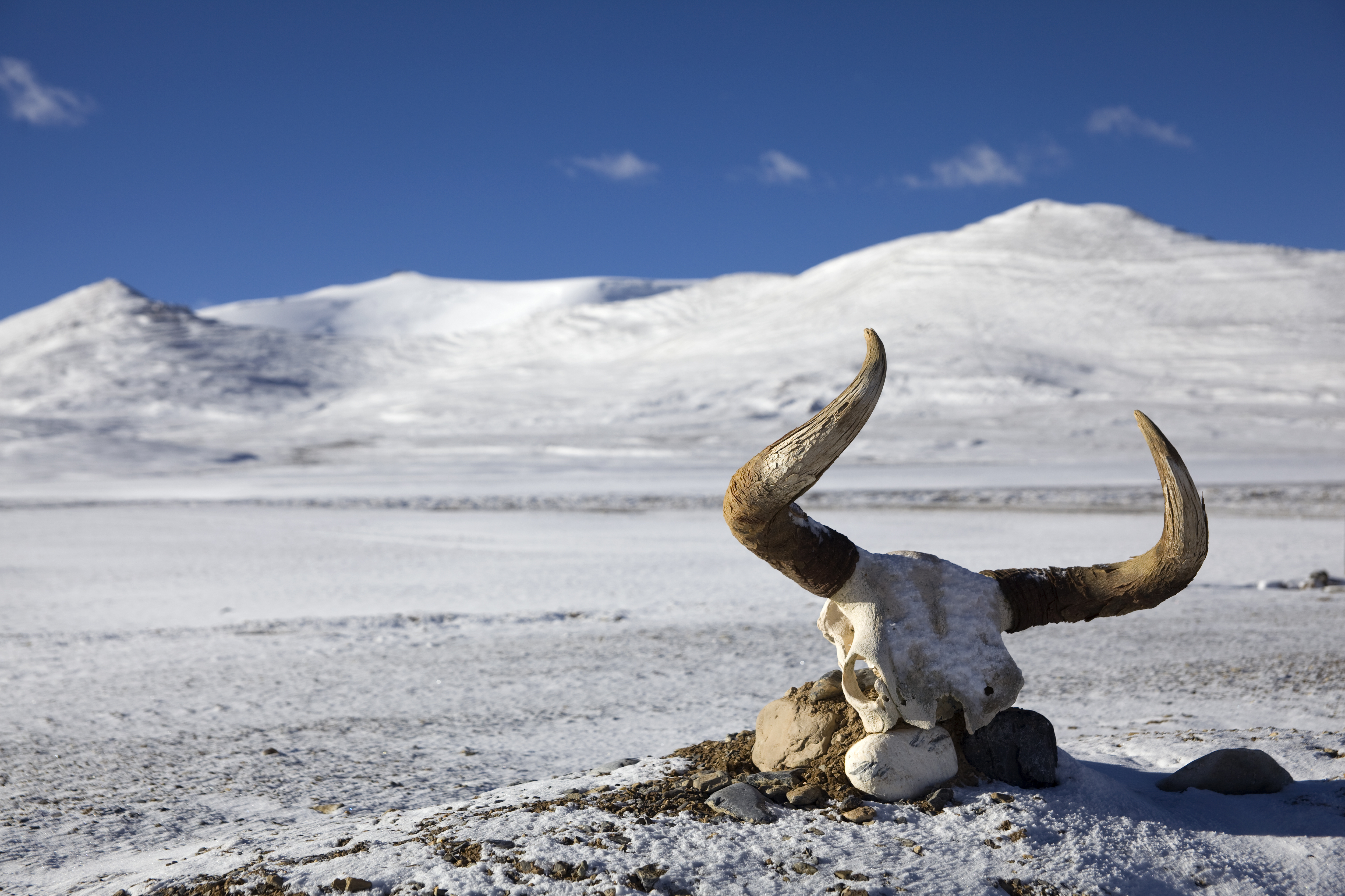 Best time to visit Tibet