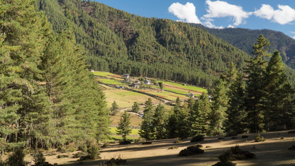 Pobjikha Valley