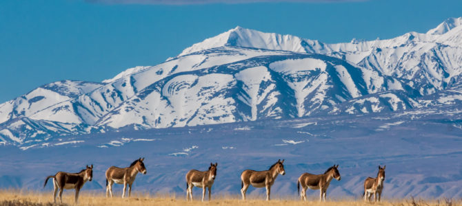 2019 Journeys in Tibet, Nepal and Bhutan